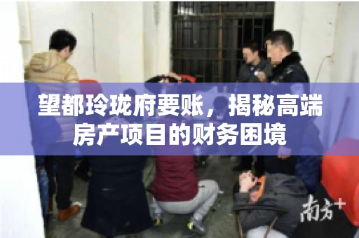 望都玲珑府要账,揭秘高端房产项目的财务困境 望都玲珑府要账,揭秘高端房产项目的财务困境