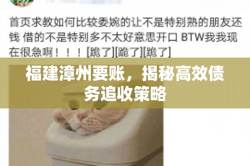 福建漳州要账，揭秘高效债务追收策略