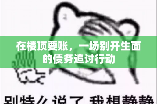 在楼顶要账，一场别开生面的债务追讨行动