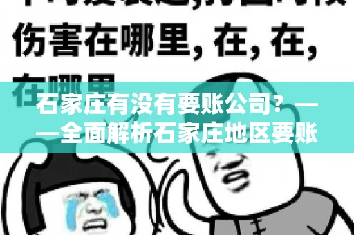 石家庄有没有要账公司？——全面解析石家庄地区要账服务