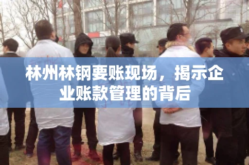 林州林钢要账现场，揭示企业账款管理的背后