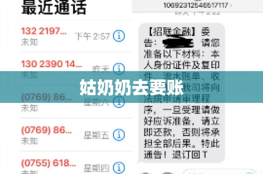 姑奶奶去要账 姑奶奶去要账