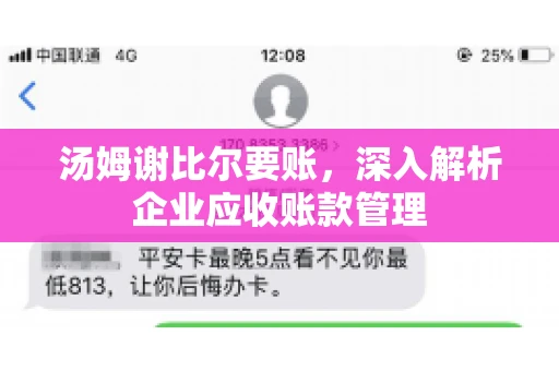 汤姆谢比尔要账，深入解析企业应收账款管理