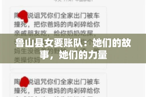 鲁山县女要账队：她们的故事，她们的力量