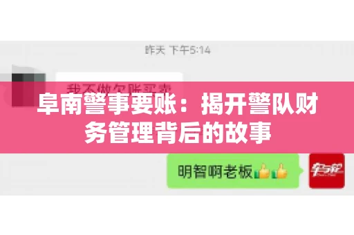 阜南警事要账：揭开警队财务管理背后的故事