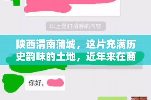 陕西渭南蒲城，这片充满历史韵味的土地，近年来在商业活动中也展现出了其独特的活力。其中，关于“陕西渭南蒲城要账”的话题，成为了不少企业关注的焦点。今天，我们就来聊聊这个话题，看看在蒲城，要账的那些事儿。