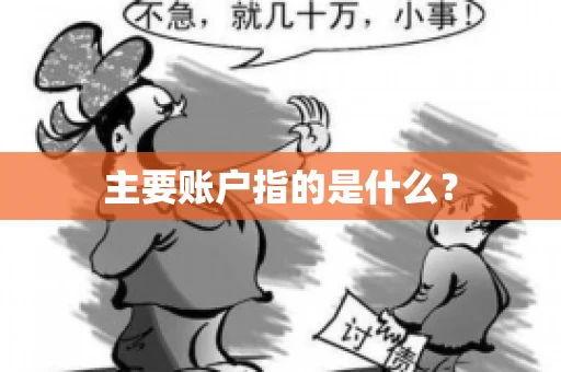 主要账户指的是什么？